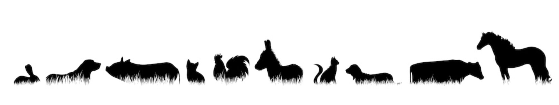 Vector silhouette of farm animal in the grass on white background.