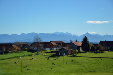 Allg&auml;uer Landschaft  bei  Raiggers