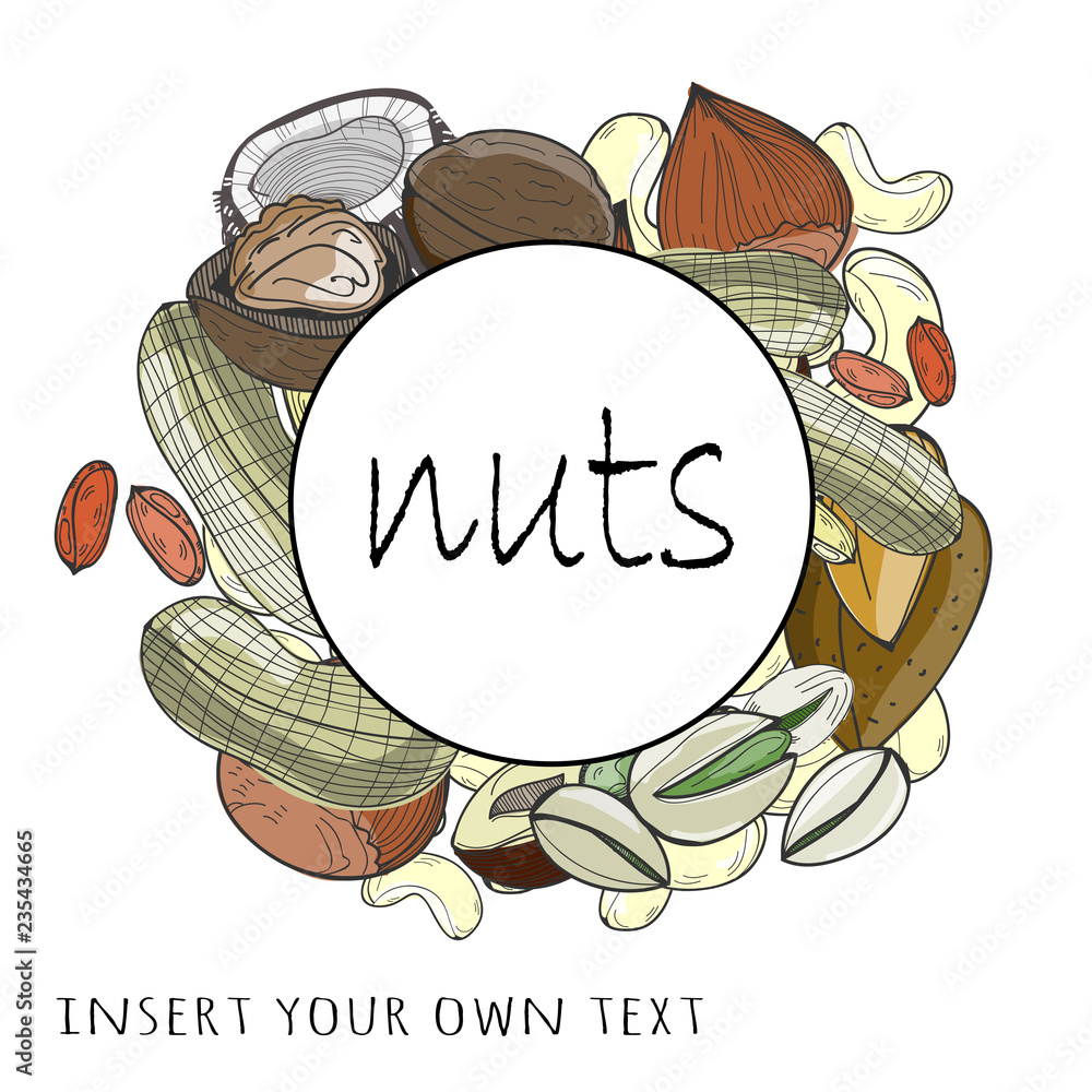 Poster hand drawn various nuts. colored graphic vector logo (frame). insert your own text