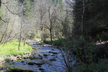 GORGES DU BRUYANT - LANS EN VERCORS - ISERE - FRANCE