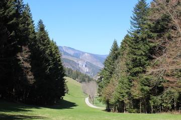 GORGES DU BRUYANT - LANS EN VERCORS - ISERE - FRANCE