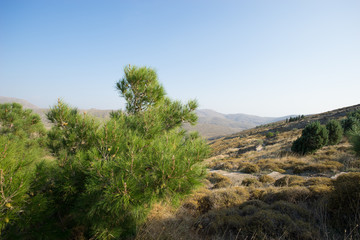Berlandschaft auf Lesbos