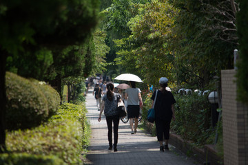Obraz premium 夏の歩道