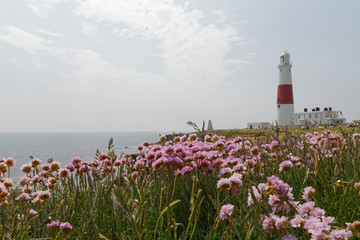 Portland Bill lighthouse in Weymouth Dorset England