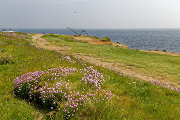 jurassic coast South England