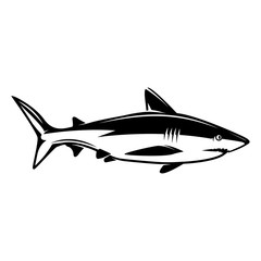 Shark illustration. Design elements for logo, label, emblem, sign, menu.