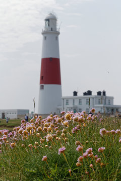 Portland Bill lighthouse in Weymouth Dorset England