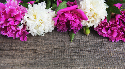 beautiful pink and white peony flowers