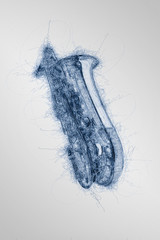 hand drawn concert saxophone on white background