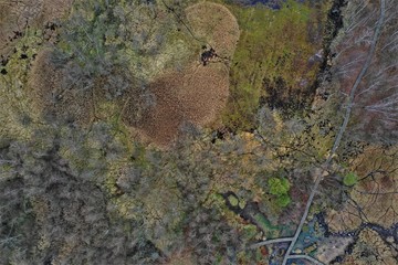 Soos - Nationales Naturreservat