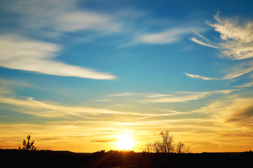 Fototapeta premium The sky with multicolored clouds against the blue sky at sunset.