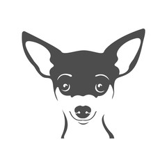 Chihuahua portrait vector image. Head dog Chihuahua on a white background. Dog logo.  