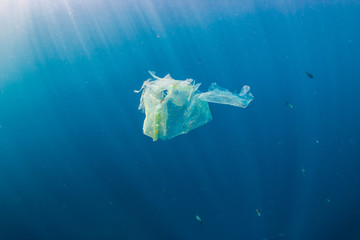 A shredded plastic bag drifting under the surface of a blue, tropical ocean