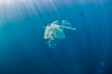 A shredded plastic bag drifting under the surface of a blue, tropical ocean