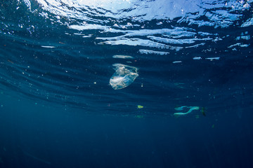 Plastic bags and debris floating on the surface of a clear, blue tropical ocean
