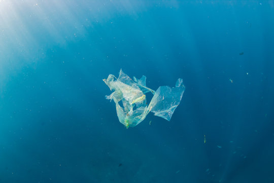 A Shredded Plastic Bag Drifting Under The Surface Of A Blue, Tropical Ocean