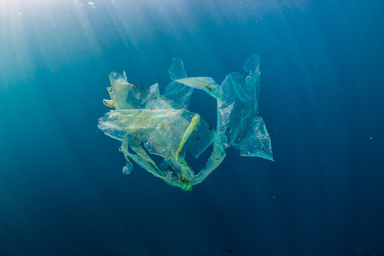 A Shredded Plastic Bag Drifting Under The Surface Of A Blue, Tropical Ocean