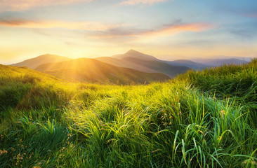 Mountain valley during sunset. Field with fresh grass and the mountain hills. Natural landscape at...