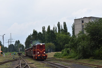 Lokomotywa wąskotorowa © KamFOT