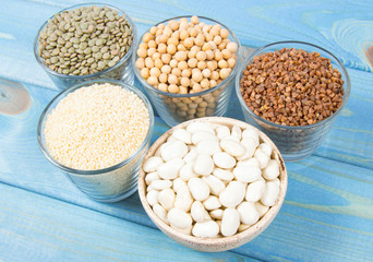 Food products containing protein of vegetable origin.