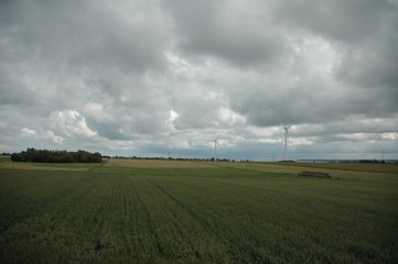 Fototapeta na wymiar Green field in overcast