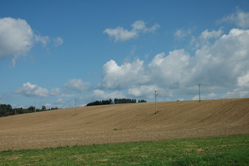 Fertile land field with a powerline