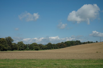 Obraz premium Fertile land field