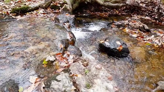 Water flowing in a small stream in November near Anniston, Alabama, USA