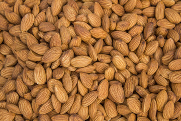 Lots of fresh golden brown almond nuts are in a pile. natural surface texture