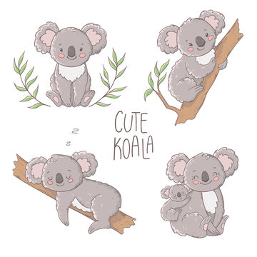 Cute koala illustration, vector set.