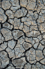 Global warming. Earth cracked because of drought
