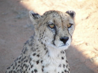 Reisen Afrika 