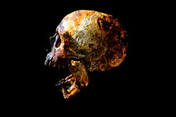 Head skull in flame on dark black background.