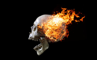 Head skull in flame on dark black background.