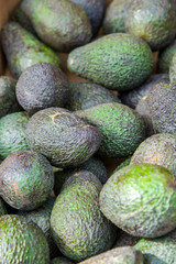 Fresh avocado at the market