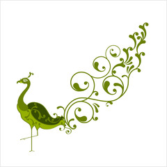 Peacock Artistic Hand Drawn Design