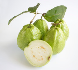 Gwava in white background