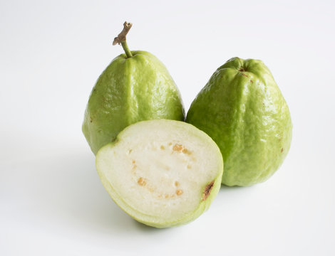Gwava in white background