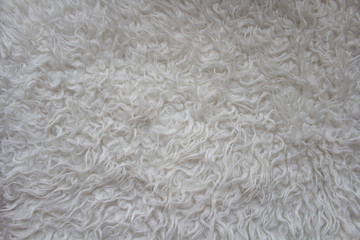 white fur texture