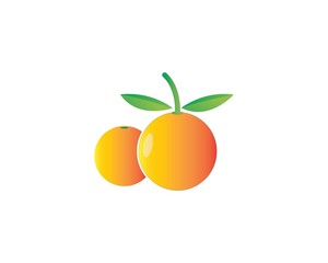 Orange logo design