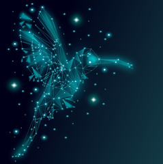 Low poly Blue Hummingbird with dark blue background,animal geometric.