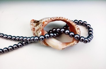 Black pearl and shell