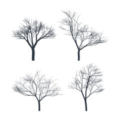 Set of tree silhouette on white background. Bare trees. Vector illustration.