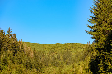 multi level fields and forests in mountain area