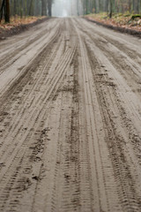 Naklejka premium car tyre traces on muddy dirt road
