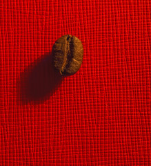 grain of coffee on a red background