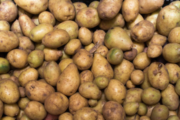Potato harvest in a box