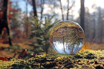 herbstwald in kristallkugel, schweiz
