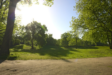 Sonnenlichtdurchfluteter Park mit Bäumen und strahlend blauem Himmel und grüner Wiese lädt zum Erholen und Entspannen ein