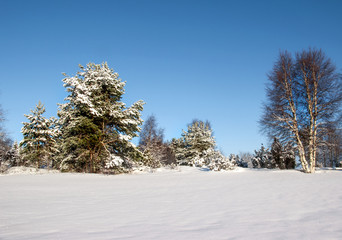 Winter sunny day on Lake Vodlozero in the Vodlozersky National Park in Karelia (Russia)
